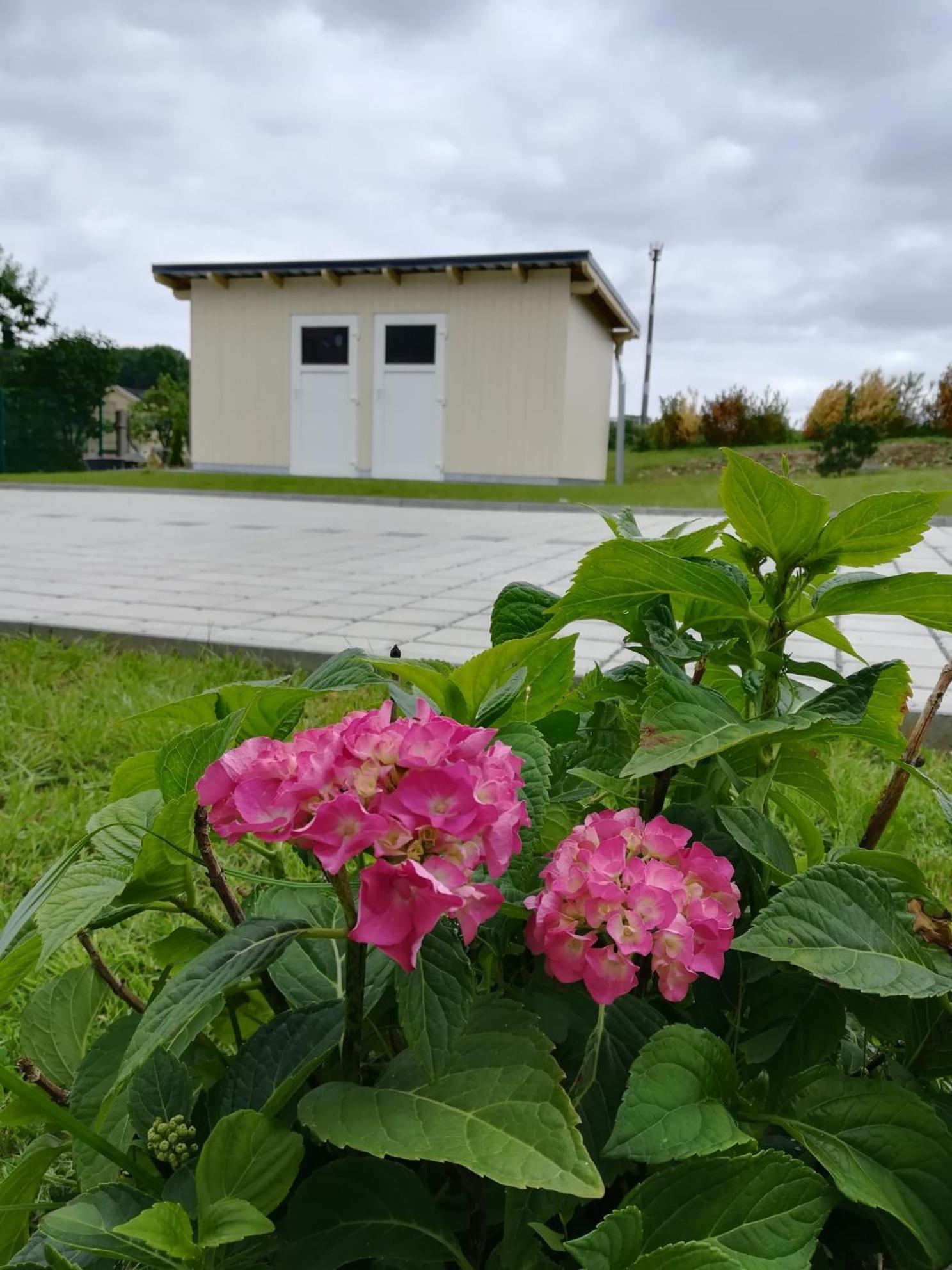 Ferienhaus Zum Kuckuck, Wng 2, Urlaub Im Eichsfeld Kallmerode Exterior foto